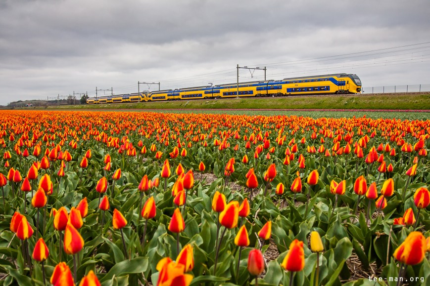 NS 9577 22.4.2015 D150341