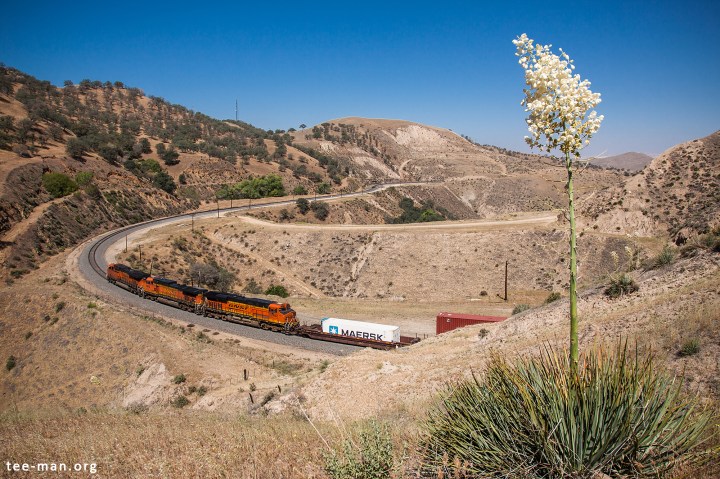 BNSF 7452 + 4812 + 7075, Bealville (CA) 26-5-2014