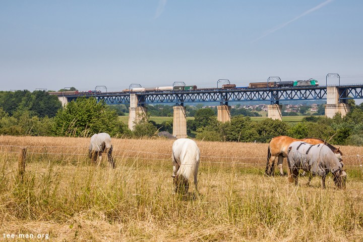 ATBE 186 216 (BLX 2824), Plombières 4.7.2015