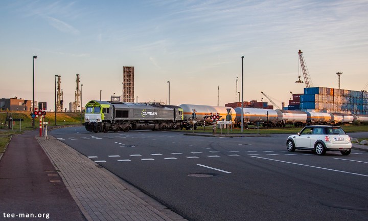 Crossing the Oosterweelsesteenweg. Antwerp, 6.8.2015
