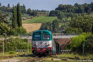 Dinosaurs between Empoli and Siena