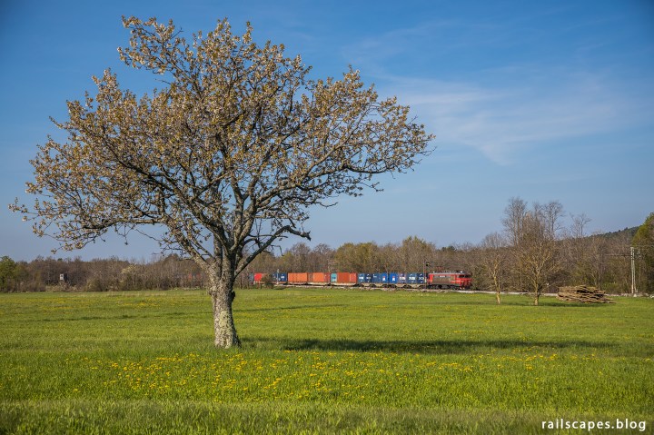 Container train from the port of Koper.